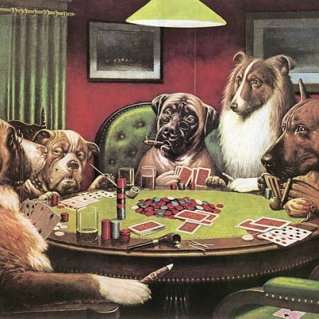 FAMOUS CASINO NAME FOR YOUR PETS