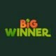 BigWinner Review